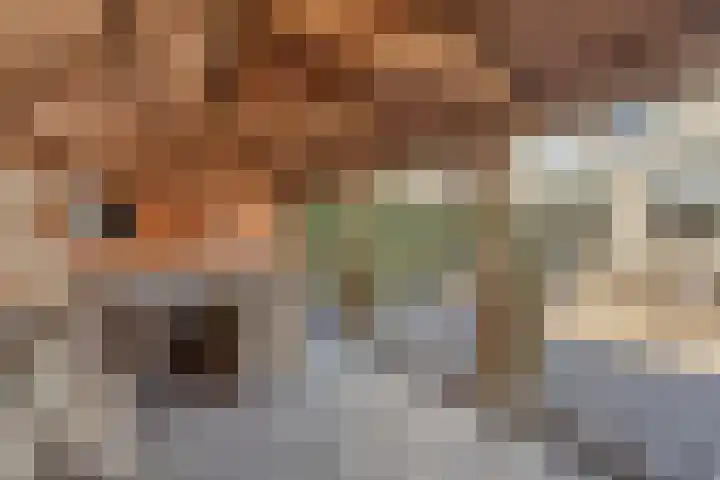 Saltshof 2808 Wijchen thumbnail 34