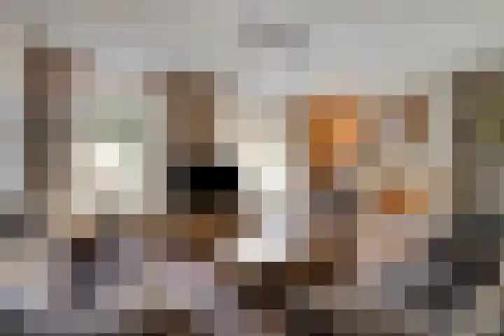 Saltshof 2808 Wijchen thumbnail 5