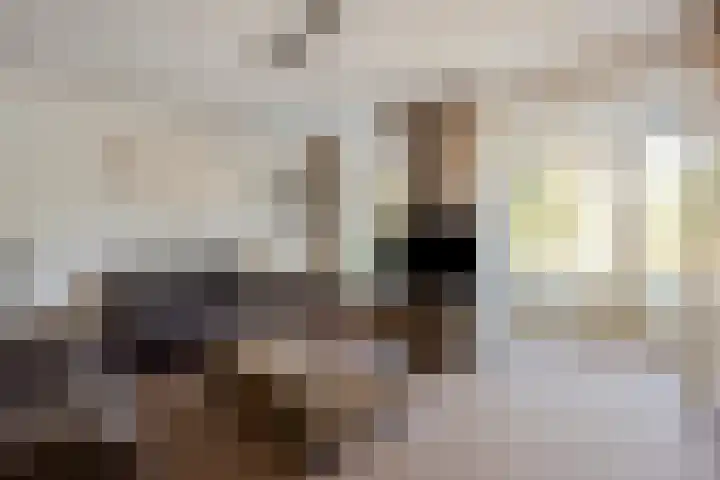 Saltshof 2808 Wijchen thumbnail 6