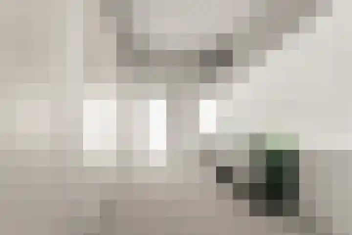 Saltshof 3048 Wijchen thumbnail 23