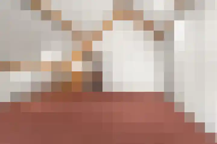 Saltshof 3048 Wijchen thumbnail 28