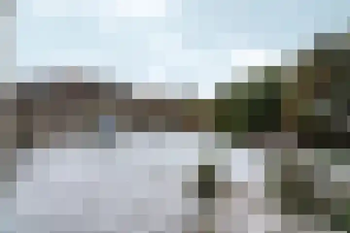 Saltshof 3048 Wijchen thumbnail 33
