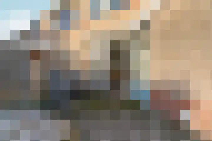 Saltshof 3048 Wijchen thumbnail 36