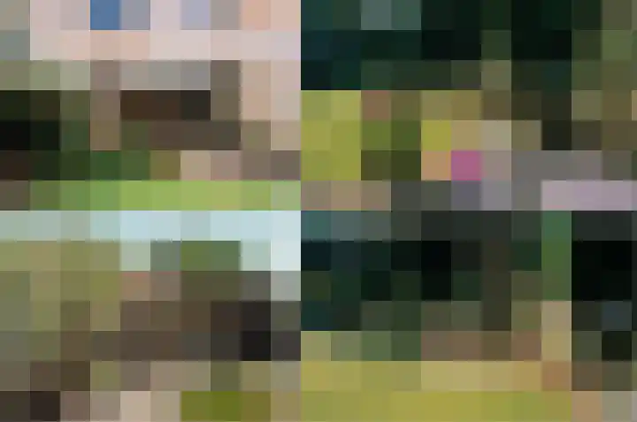Saltshof 3048 Wijchen thumbnail 38
