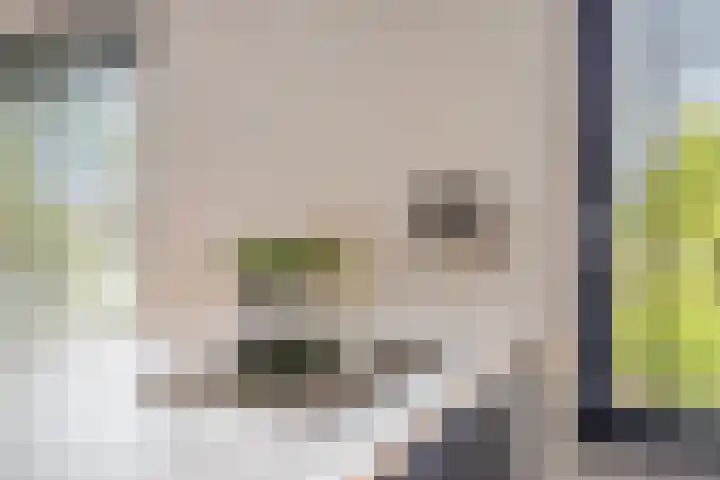 Saltshof 3252 Wijchen thumbnail 15