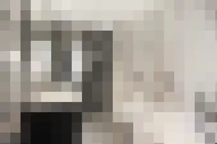 Saltshof 3252 Wijchen thumbnail 19