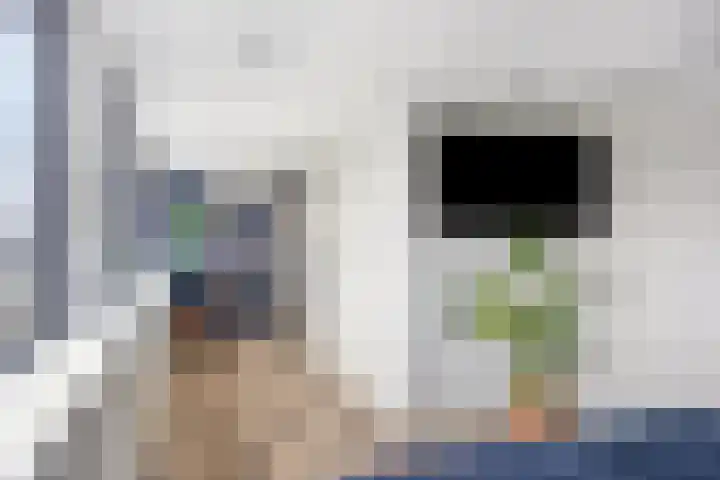 Saltshof 3252 Wijchen thumbnail 27