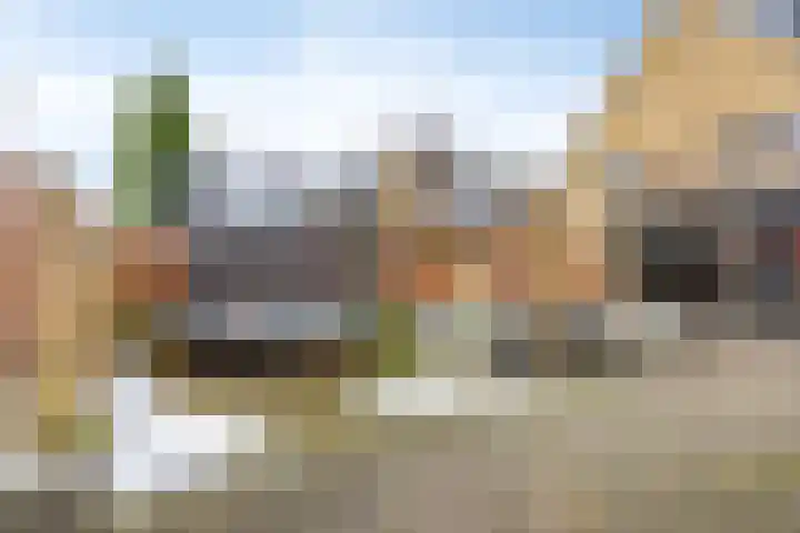 Saltshof 3252 Wijchen thumbnail 31
