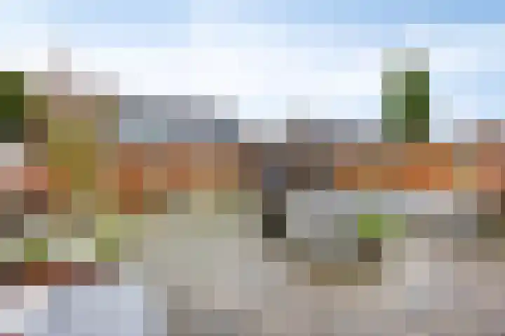 Saltshof 3252 Wijchen thumbnail 34