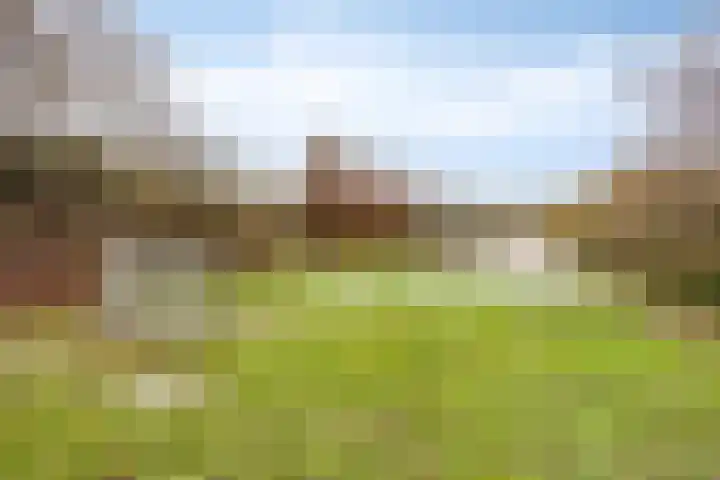 Saltshof 3252 Wijchen thumbnail 35