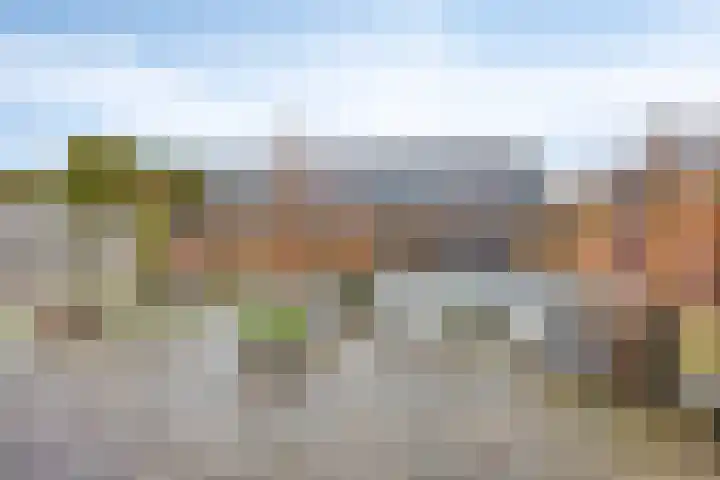 Saltshof 3252 Wijchen thumbnail 4