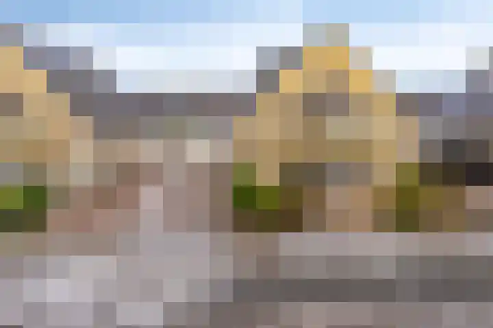 Saltshof 3252 Wijchen thumbnail 5