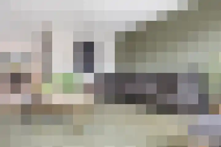 Saltshof 3252 Wijchen thumbnail 7