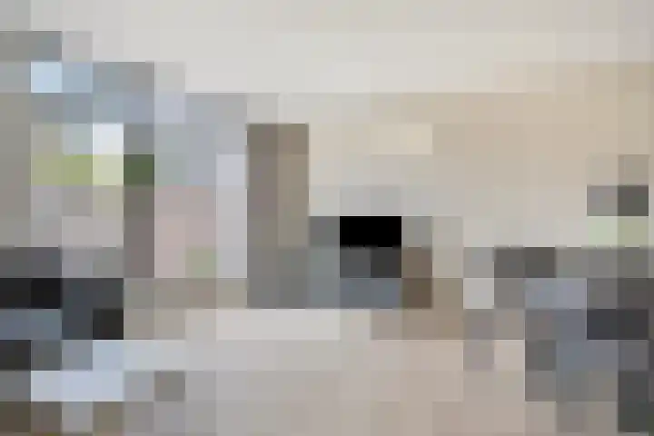 Saltshof 3347 Wijchen thumbnail 11