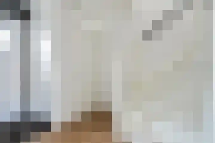 Saltshof 3347 Wijchen thumbnail 14