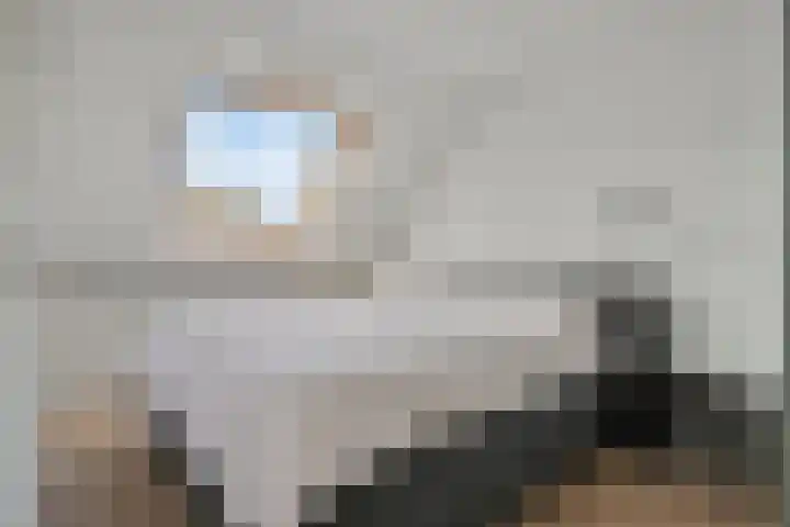Saltshof 3347 Wijchen thumbnail 15