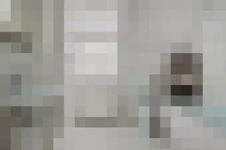 Saltshof 3347 Wijchen thumbnail 21