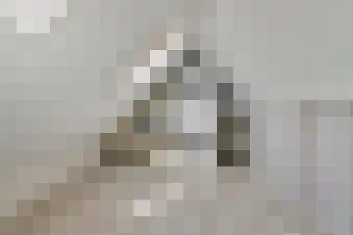 Saltshof 3347 Wijchen thumbnail 23