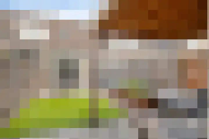 Saltshof 3347 Wijchen thumbnail 27