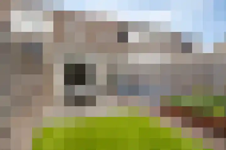 Saltshof 3347 Wijchen thumbnail 28