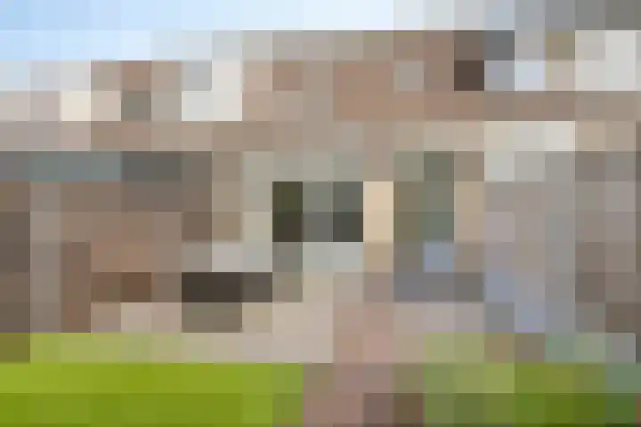 Saltshof 3347 Wijchen thumbnail 29