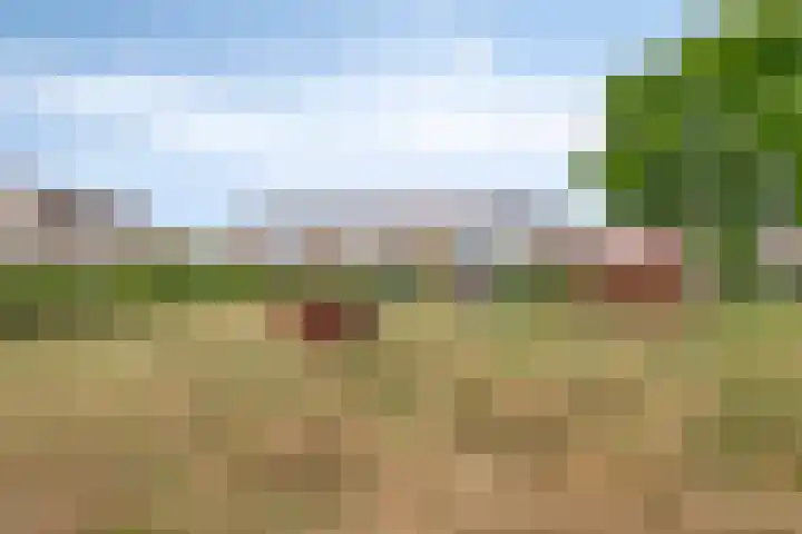 Saltshof 3347 Wijchen thumbnail 31