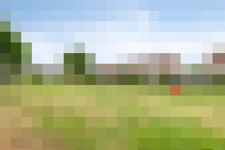 Saltshof 3347 Wijchen thumbnail 32