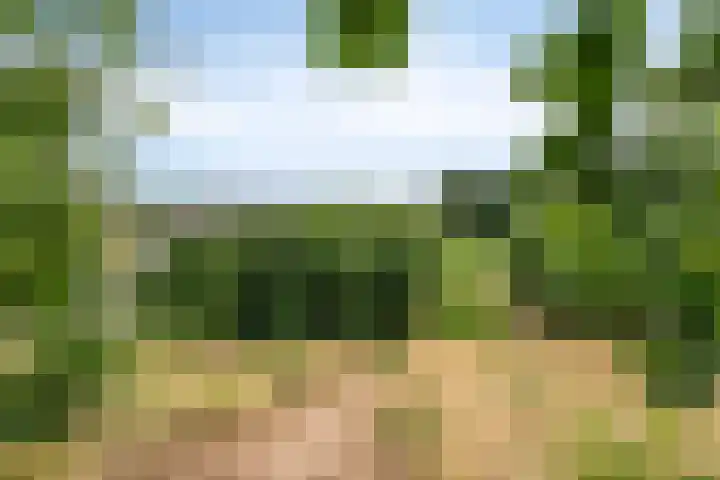 Saltshof 3347 Wijchen thumbnail 33