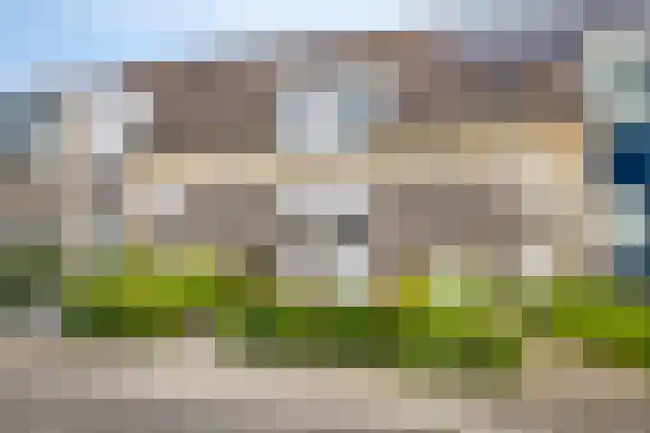 Saltshof 3347 Wijchen thumbnail 5