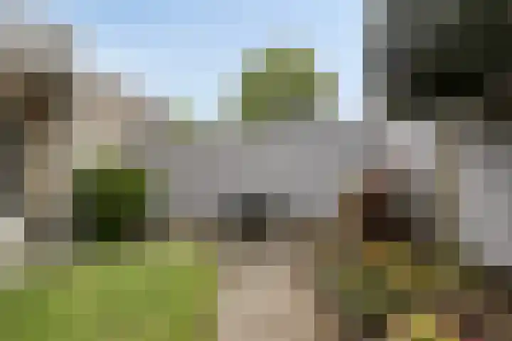 Saltshof 3478 Wijchen thumbnail 26