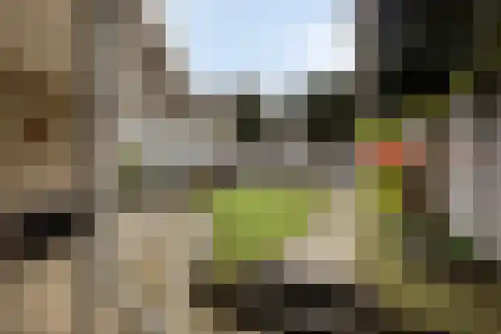 Saltshof 3478 Wijchen thumbnail 27
