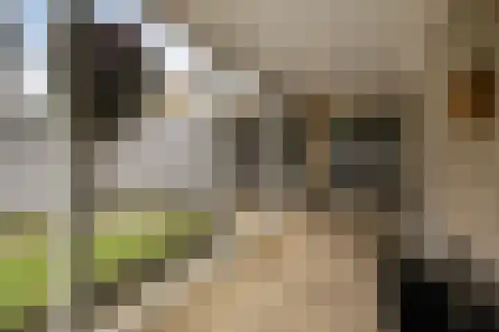 Saltshof 3478 Wijchen thumbnail 28
