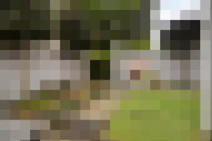 Saltshof 3478 Wijchen thumbnail 29
