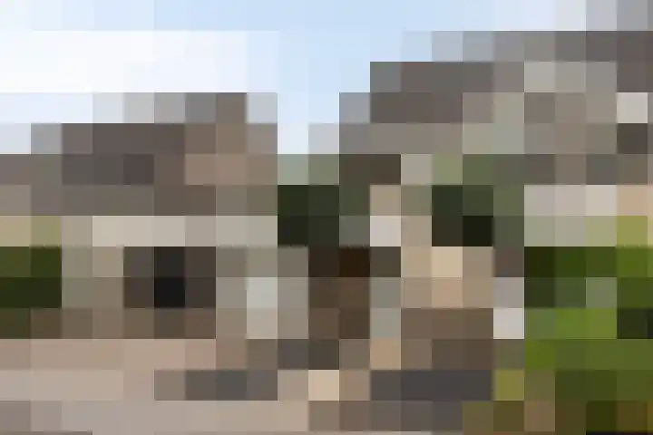 Saltshof 3478 Wijchen thumbnail 30
