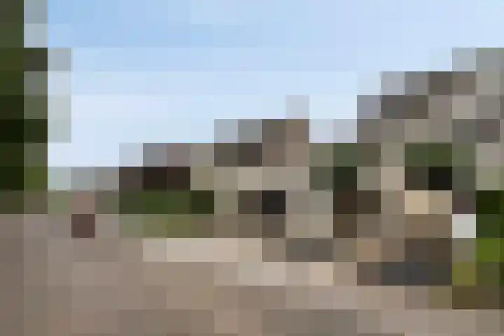 Saltshof 3478 Wijchen thumbnail 33