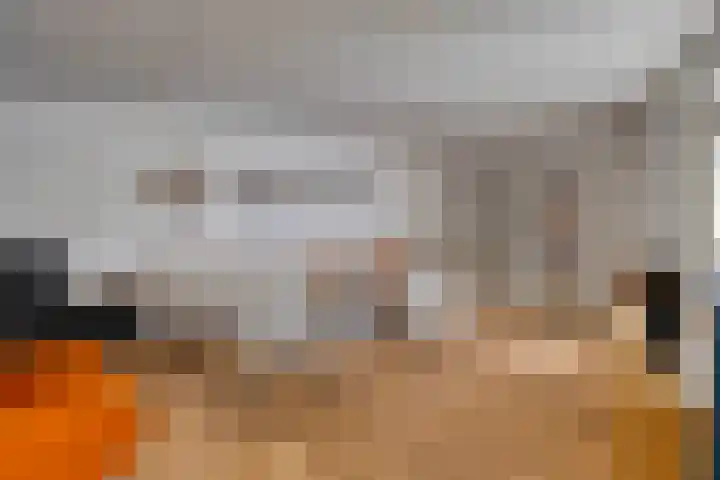 Saltshof 3478 Wijchen thumbnail 5