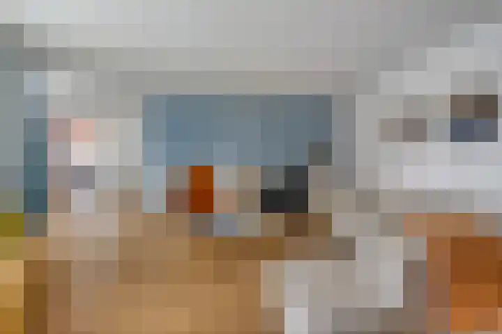 Saltshof 3478 Wijchen thumbnail 6