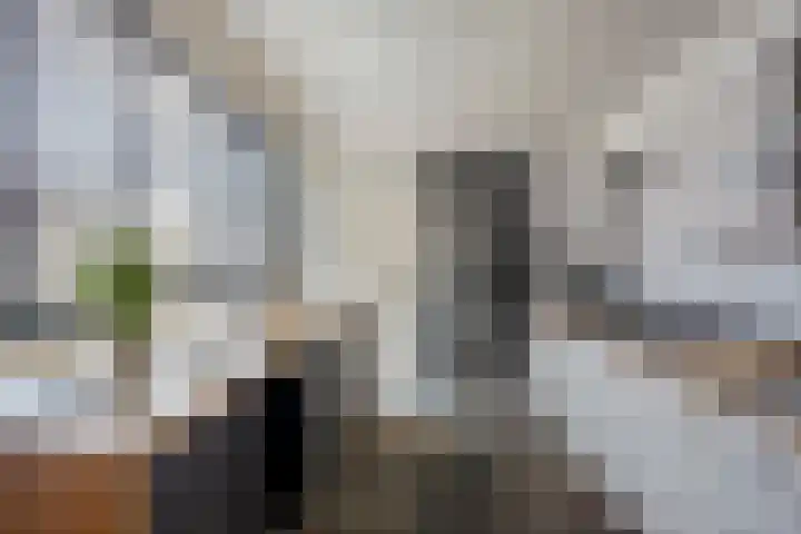 Salvatorstraat 36 Susteren thumbnail 18