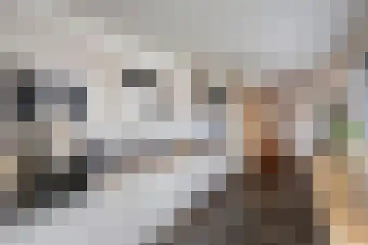 Salvatorstraat 36 Susteren thumbnail 19