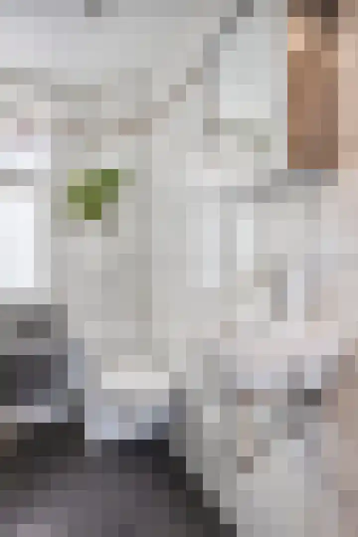 Salvatorstraat 36 Susteren thumbnail 24