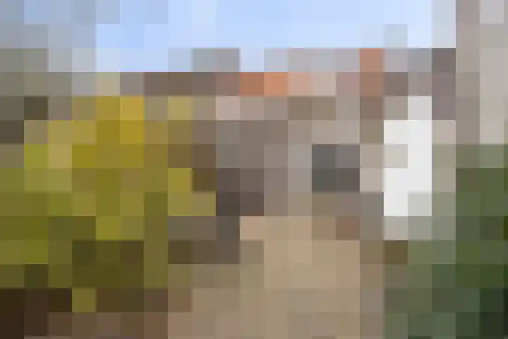 Salvatorstraat 36 Susteren thumbnail 36