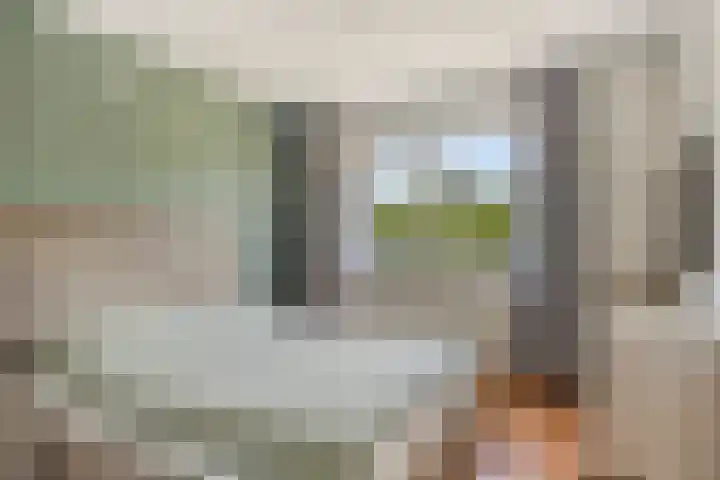 Sam Gewissies 52 Geldrop thumbnail 22
