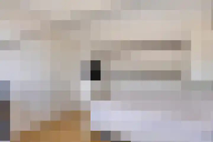 Sam Gewissies 52 Geldrop thumbnail 30