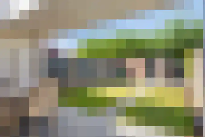 Sam Gewissies 52 Geldrop thumbnail 31