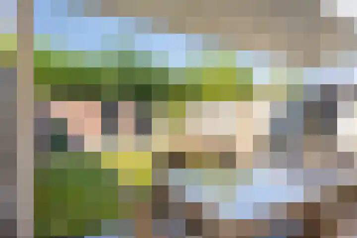 Sam Gewissies 52 Geldrop thumbnail 5