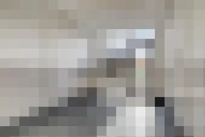 Samanthagang 132 Zoetermeer thumbnail 16