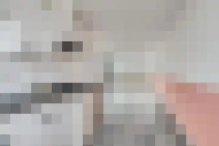 Samanthagang 132 Zoetermeer thumbnail 6