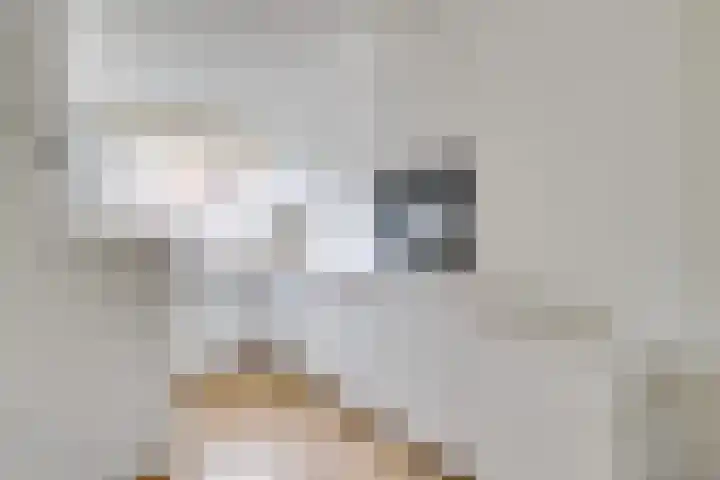 Samoas 20 Utrecht thumbnail 16