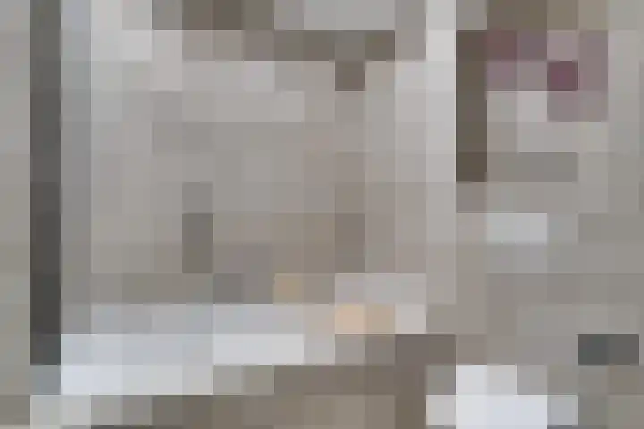 Samoas 20 Utrecht thumbnail 23
