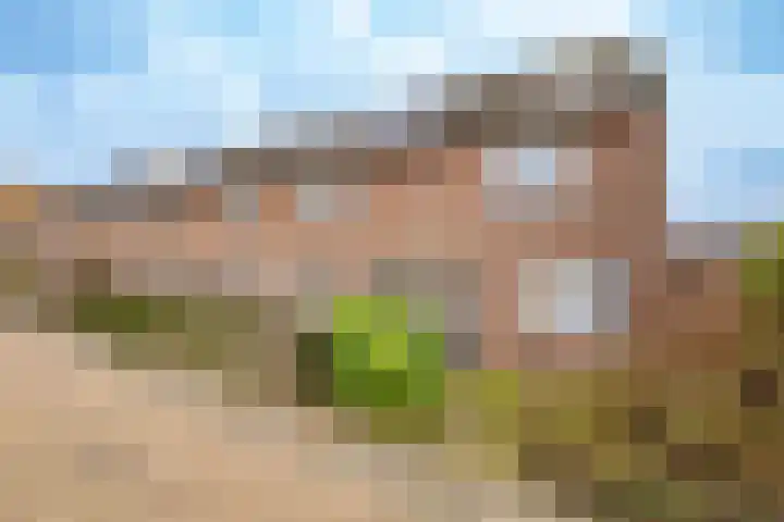 Samoas 20 Utrecht thumbnail 4